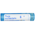 Boiron, Single Remedies, Туя западная, 6C, 80 драже