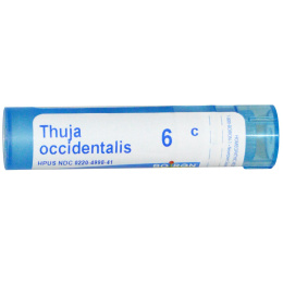 Boiron, Single Remedies, Туя западная, 6C, 80 драже