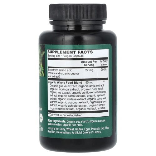 PlantFusion, Vegan Wholefood, цинк, 22 мг, 60 органических вегетарианских капсул