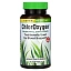 Herbs Etc., ChlorOxygen, Концентрат хлорофилла, 60 быстродействующих желатиновых капсул