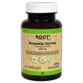Vitacost, корень босвеллии пильчатой с AprésFlex®, 100 мг, 60 капсул