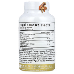 Nature's Fusions, Nutri, органический куркумин из куркумы, 90 органических капсул