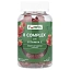 YumVs, комплекс витаминов группы B с витамином C в жевательных таблетках, со вкусом клубники, 70 жевательных таблеток