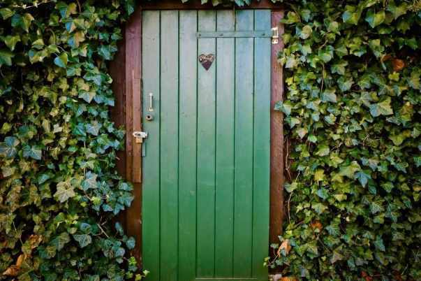 Натуральные средства для борьбы с запорами