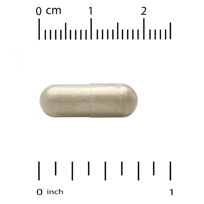 Vitacost, экстракт базилика священного, 180 капсул (400 мг в 1 капсуле)