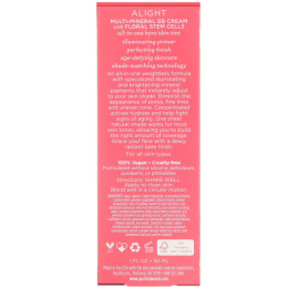 Pacifica, Мульти-минеральный BB крем, 1 жидкая унция (30 мл)