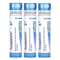Boiron, Гранулы из гарпагофитума (Harpagophytum Meltaway), 3 тюбика, 80 гранул в каждом