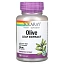 Solaray, экстракт из листьев оливкового дерева, 250 мг, 120 растительных капсул