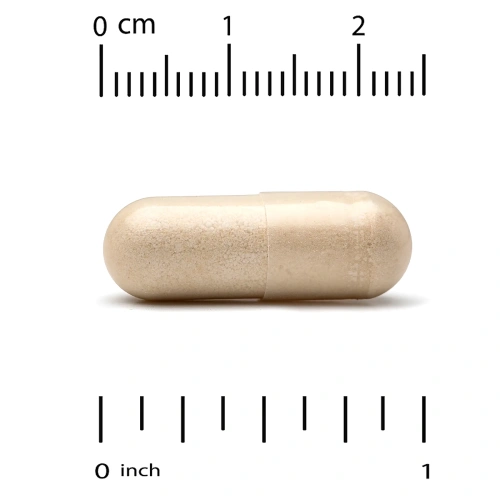 California Gold Nutrition, Микология, MushRex Plus, грибной комплекс полного спектра, сертифицированный органический, Immune Assist™ Микрон, 120 вегетарианских капсул