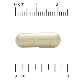 Vitacost, L-Carnitine Fumarate, 500 mg, 60 Capsules