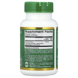 California Gold Nutrition, EuroHerbs™, экстракт эхинацеи, качество Euromed, 80 мг, 60 растительных капсул