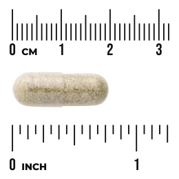 Swanson Vitamins, эхинацея с корнем желтокорня, 250 капсул