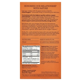 Herbs Etc., ChlorOxygen® в каплях, со вкусом лимонада, 30 мл (1 жидк. унция)