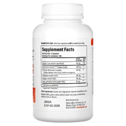 Kyolic, Выдержанный экстракт чеснока, иммунитет, формула 103, 200 капсул