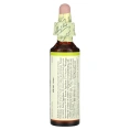Bach, Original Flower Remedies, каштановые бутоны, 20 мл (0,7 жидк. унц.)