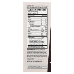 UpSpring, Milkflow®, смесь для приготовления напитка, с шоколадным вкусом, 16 порционных пакетиков по 15 г (0,53 унции)