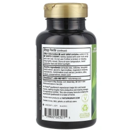 Nature's Way, «Сила воздуха», средство для дыхательных путей, 100 таблеток