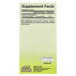 Natural Factors, Whole Earth & Sea, веганский биоактивный витамин D3, 25 мкг 1000 МЕ, 90 вегетарианских капсул