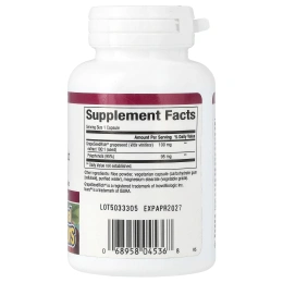 Natural Factors, Экстракт виноградных косточек, 100 мг, 90 капсул