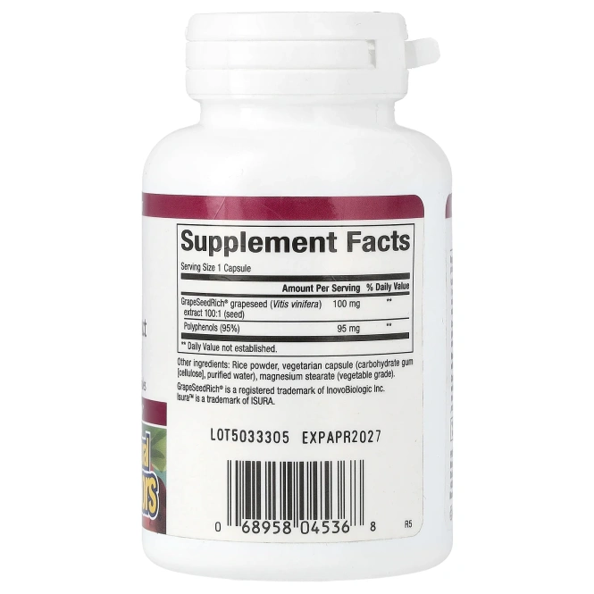 Natural Factors, Экстракт виноградных косточек, 100 мг, 90 капсул