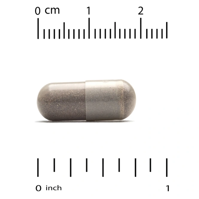 Super Nutrition, экстракт корицы, 60 растительных капсул