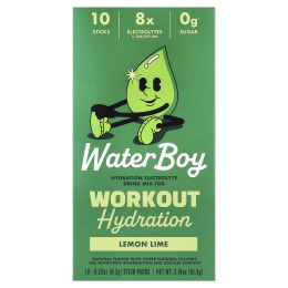 Waterboy, Workout Hydration, смесь для приготовления электролитического напитка, лимон и лайм, 10 пакетиков-стиков по 6,2 г (0,22 унции)