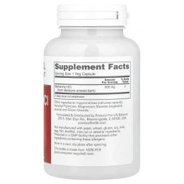 Protocol for Life Balance, Берберин гидрохлорид, 500 мг, 90 растительных капсул