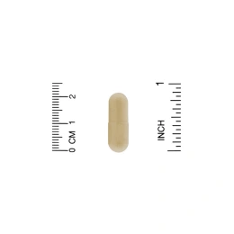 ZOI Research, поддержка мыслительных способностей, 60 вегетарианских капсул