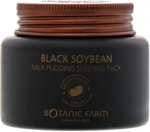 Botanic Farm, Black Soybean Milk Pudding Sleeping Pack, 90 ml