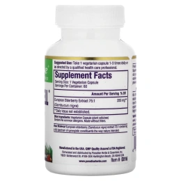 Paradise Herbs, Бузина, 60 капсул в растительной оболочке