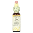 Bach, Original Flower Remedies, граб, 10 мл (0,35 жидк. унции)