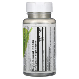 VegLife, Веганский древесный уголь (250 мг) 60 вег капсул