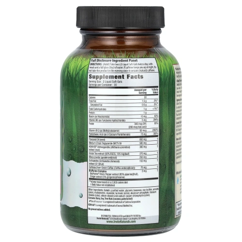 Irwin Naturals, VO2 Максимальная производительность сжигателя жира 60 софтгелей