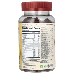 Garden of Life, Mykind Organics, Kids Multi, вишневый ароматизатор органического происхождения, 120 желейных фигурок медведей