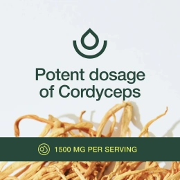 Fresh Nutrition, гриб кордицепс, 500 мг, 90 капсул