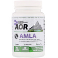 Advanced Orthomolecular Research AOR, AMLA, 90 Vegan Capsules
