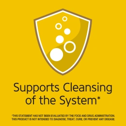 21st Century, травяной чай для похудения, мед с лимоном, без кофеина, 24 чайных пакетика, 48 г (1,7 унции)