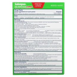 Salonpas, Пластырь обезболивающий, большой, 9 пластырей