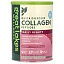 Great Lakes Wellness, Quick Dissolve Collagen Peptides, Daily Beauty, малиновый лимонад, 227 г (8 унций)