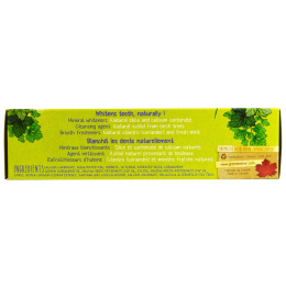 The Green Beaver, Натуральная зубная паста, Кинза и мята, 2,5 жидк. унц. (75 мл)