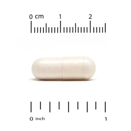 Lake Avenue Nutrition, PEA (пальмитоилэтаноламид) с PQQ, 30 растительных капсул