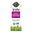 Garden of Life, Kids Organic Elderberry Immune Syrup 3.9 fl oz (116 mL)