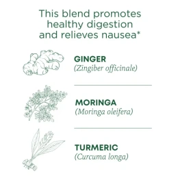 Traditional Medicinals, Ginger Aid, органический, (имбирь), без кофеина, 16 чайных пакетиков, 32 г (1,13 унции)