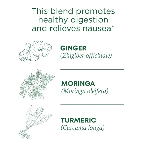 Traditional Medicinals, Ginger Aid, органический, (имбирь), без кофеина, 16 чайных пакетиков, 32 г (1,13 унции)