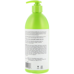 Nature's Gate, Кондиционер с имбирем зерумбетом и базиликом, для жирных волос, 18 унций (532 мл)