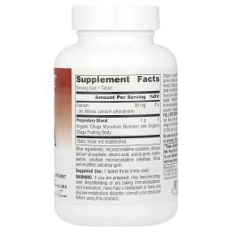 Planetary Herbals, Полный спектр, чага, 1000 мг, 60 таблеток