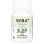 Maxi Health, Kyolic®, Aged Garlic Extract ™, 90 таблеток