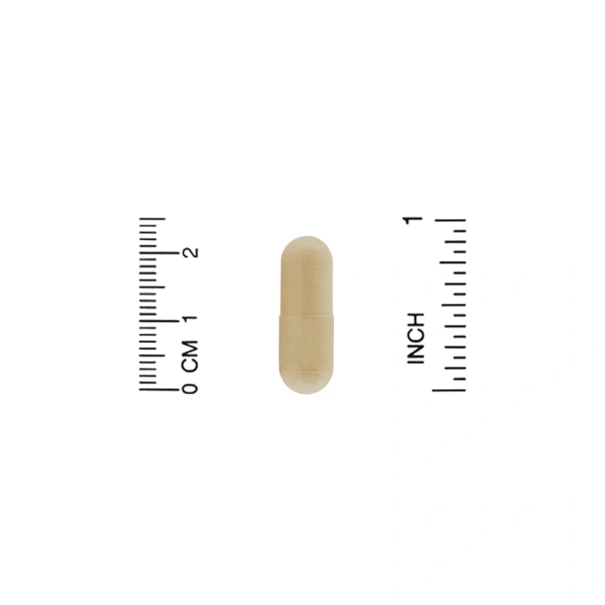 ZOI Research, Поддержка выведения токсинов, 60 вегетарианских капсул