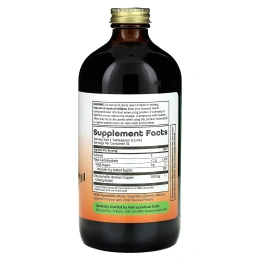 Dynamic Health, Хлорофилловая жидкость (100 мг) Натуральная мята 16 жидких унций