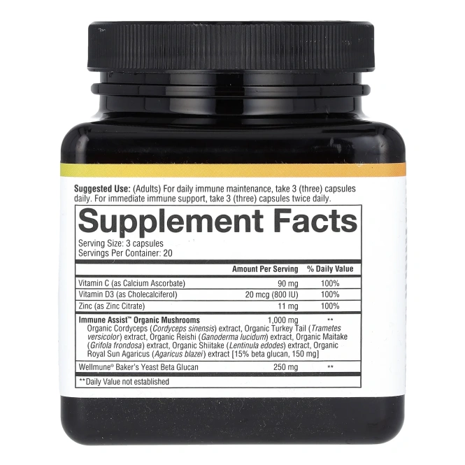 Youtheory, Immune + Daily Wellness, 60 вегетарианских капсул